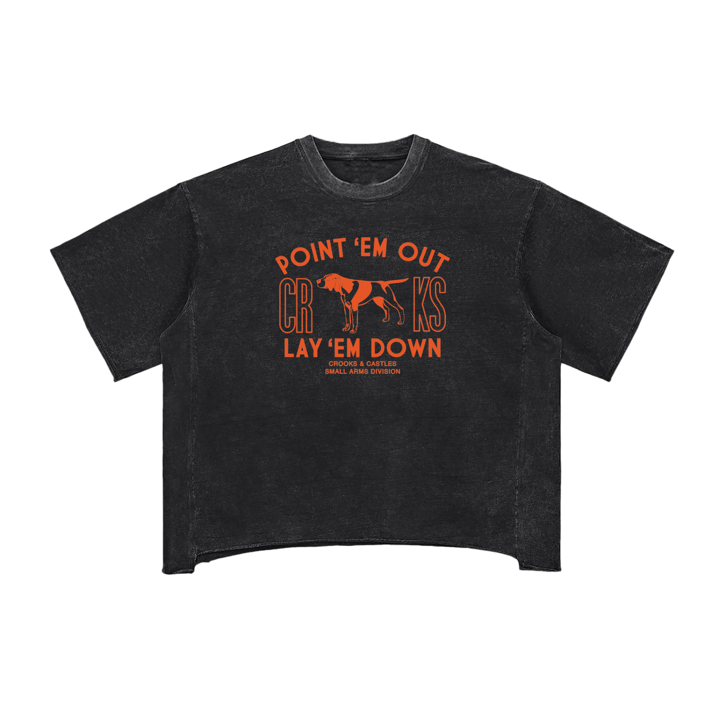 Point Em Out Raw Edge Snow Washed Tee